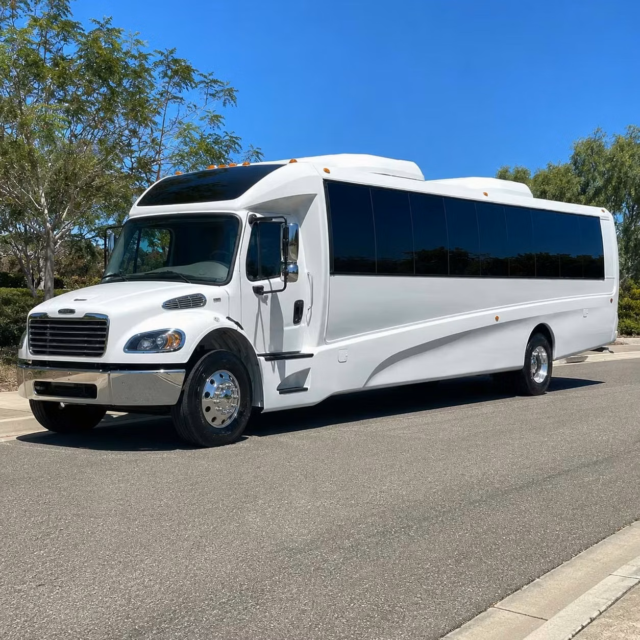 woodstock 35 passenger minibus rental