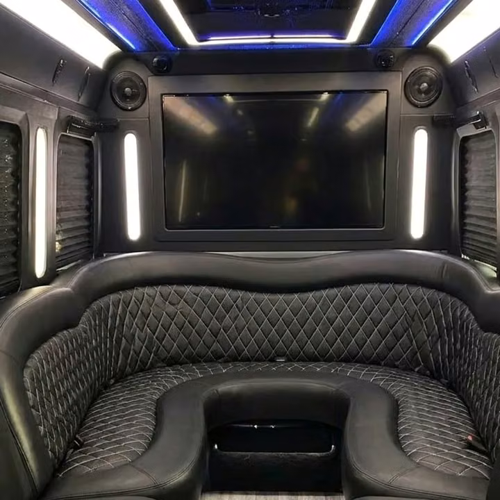 woodstock party bus sound system