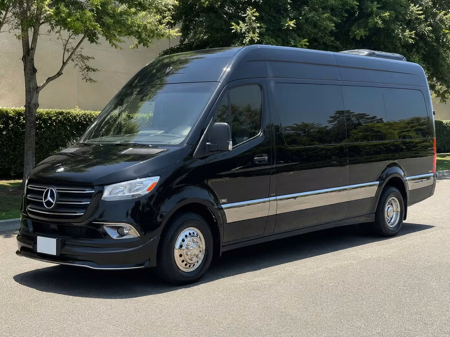woodstock sprinter van rental with driver