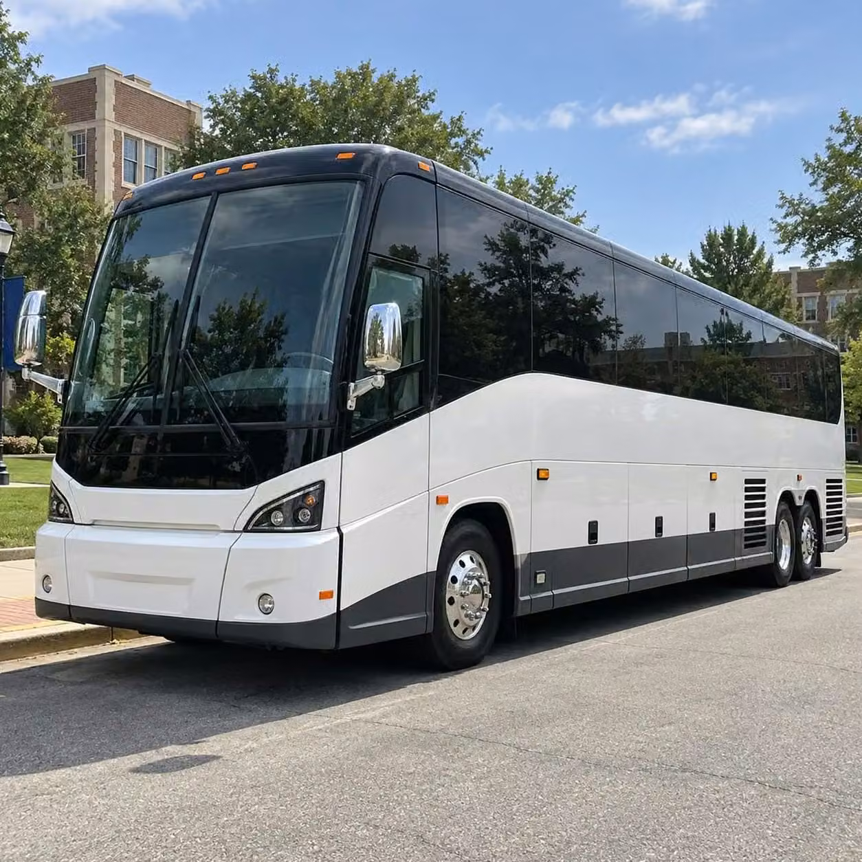 woodstock sprinter van rentals with a driver for woodstock coaches talent and fans
