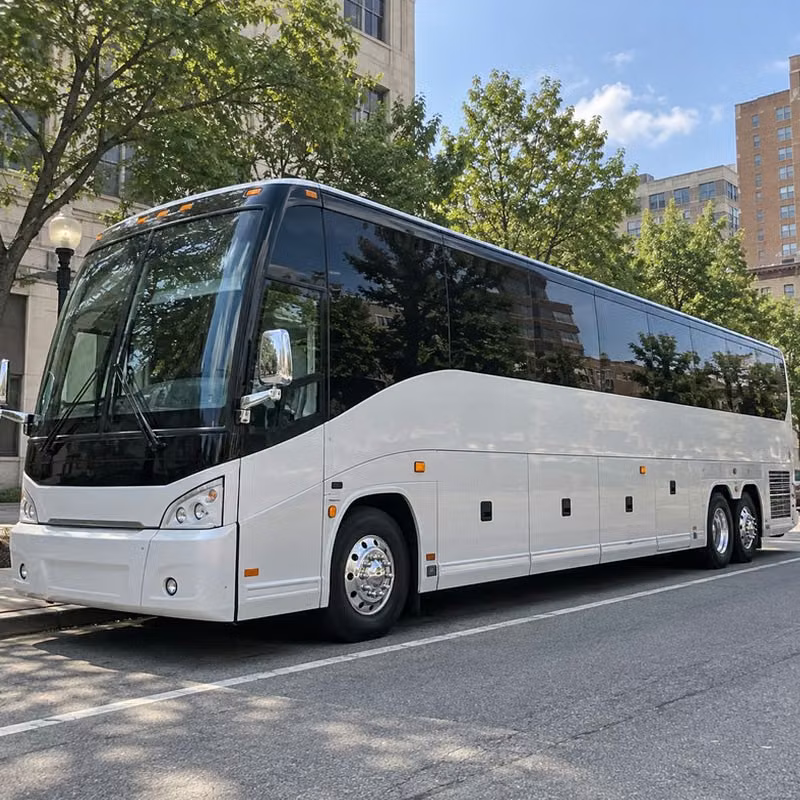 woodstock stadiums charter bus guide